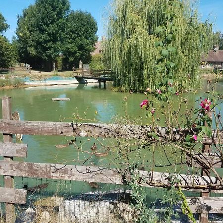 Ferme Bressane Les Arums Mervans Exteriör bild